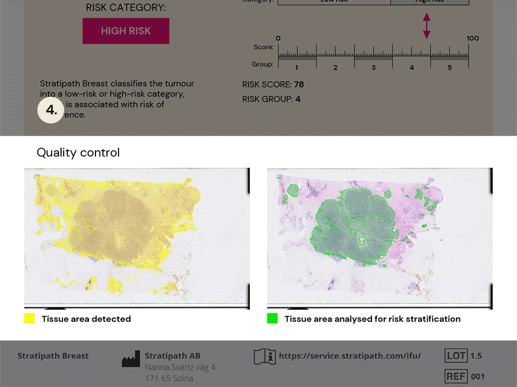 4. Quality control enables pathologists to verify the analysed areas of the image.
